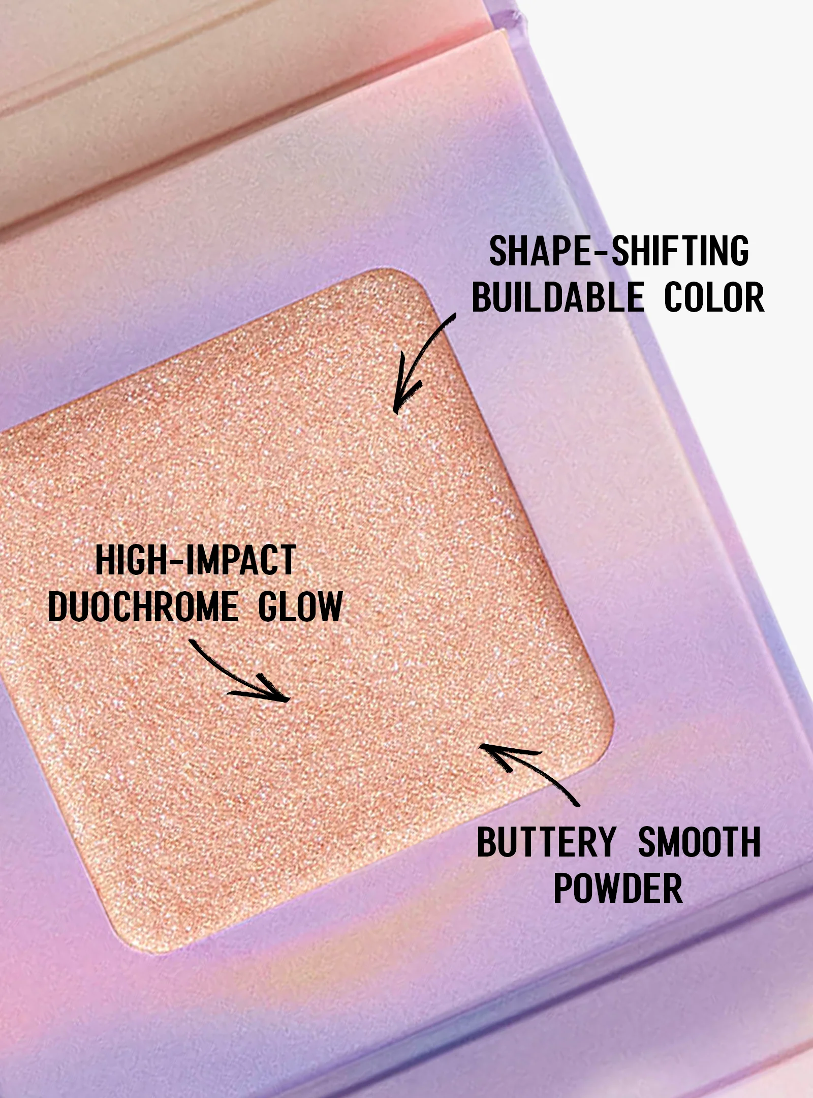 LIGHT TRAP - Image 8